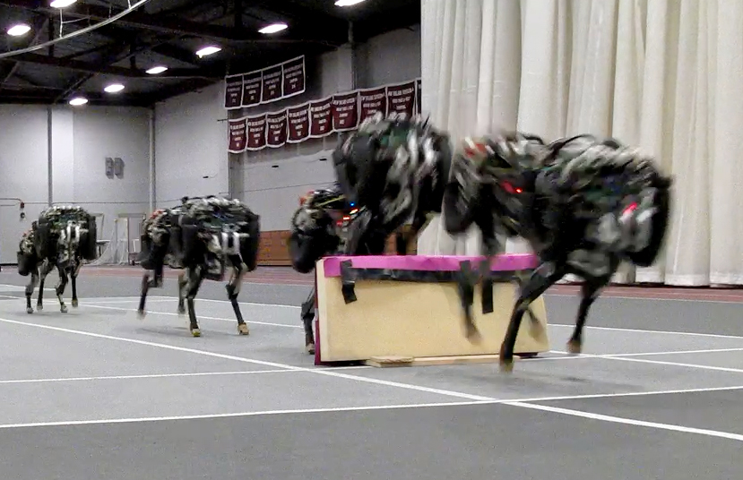 cheetah-robot le robot guépard du MIT capable de sauter à travers des obstacles de 40 cm.